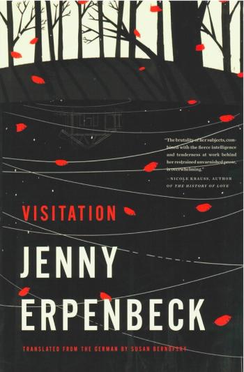 cover image of the book Visitation