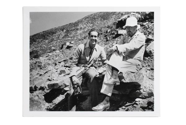 Image by New Direction