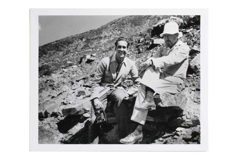 Image by New Direction