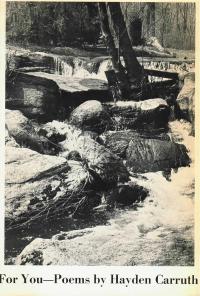 cover of the book For You