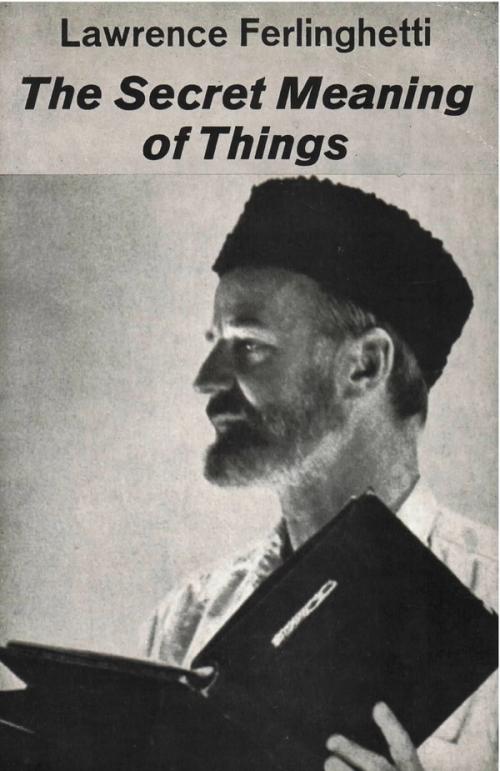 cover image of the book The Secret Meaning Of Things