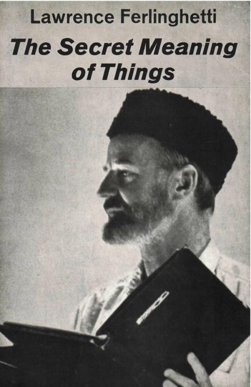 cover of the book The Secret Meaning Of Things