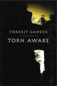 cover of the book Torn Awake