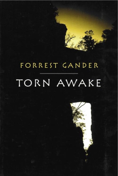 cover image of the book Torn Awake