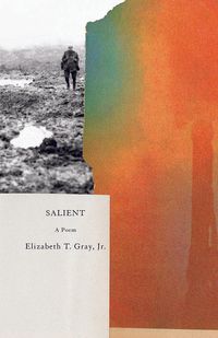 cover image of the book Salient