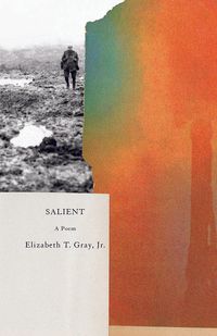 cover of the book Salient
