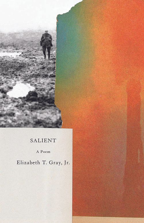 cover of the book Salient