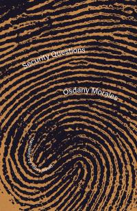 cover of the book Security Questions