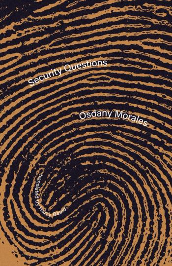 cover of the book Security Questions