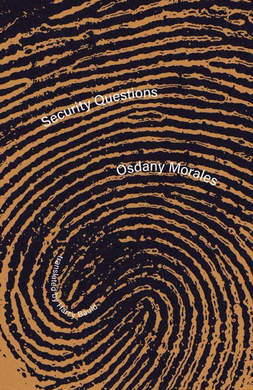 cover of the book Security Questions