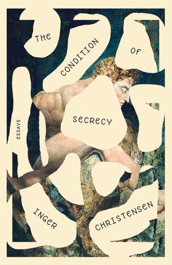 cover image of the book The Condition of Secrecy