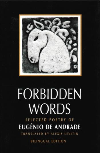 cover image of the book Forbidden Words