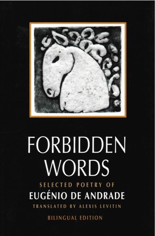 cover of the book Forbidden Words