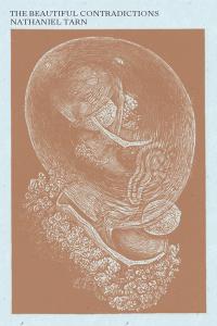 cover of the book The Beautiful Contradictions