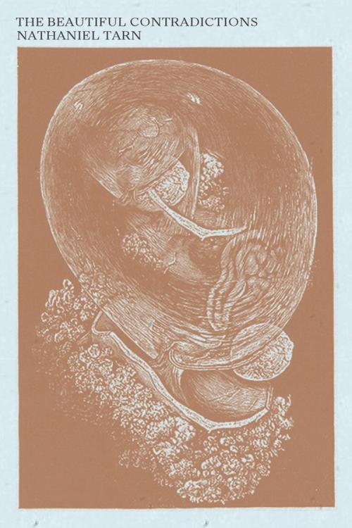 cover of the book The Beautiful Contradictions