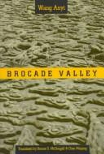 cover of the book Brocade Valley