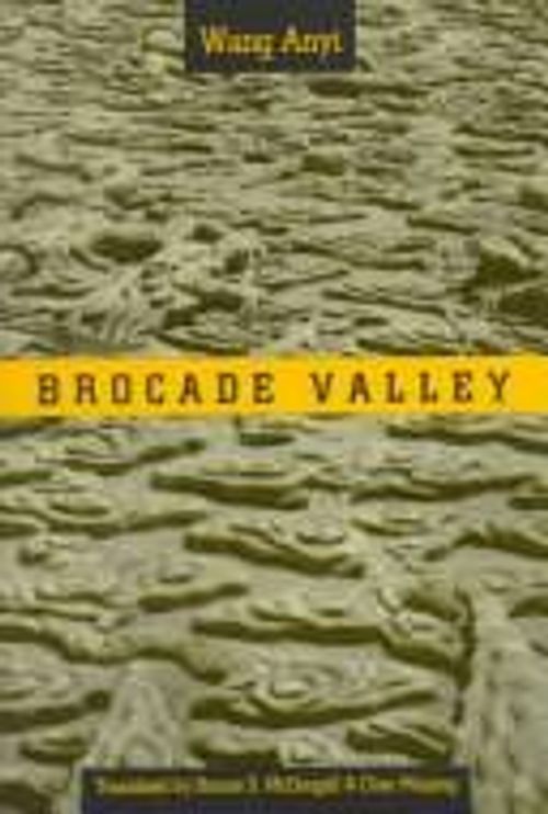 cover of the book Brocade Valley