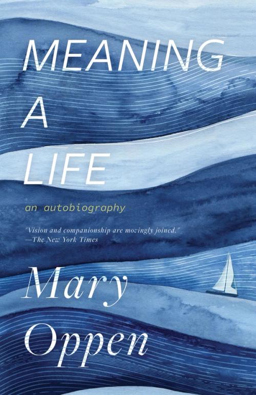 cover image of the book Meaning a Life: an Autobiography