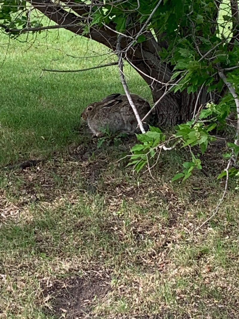 Image by New Direction