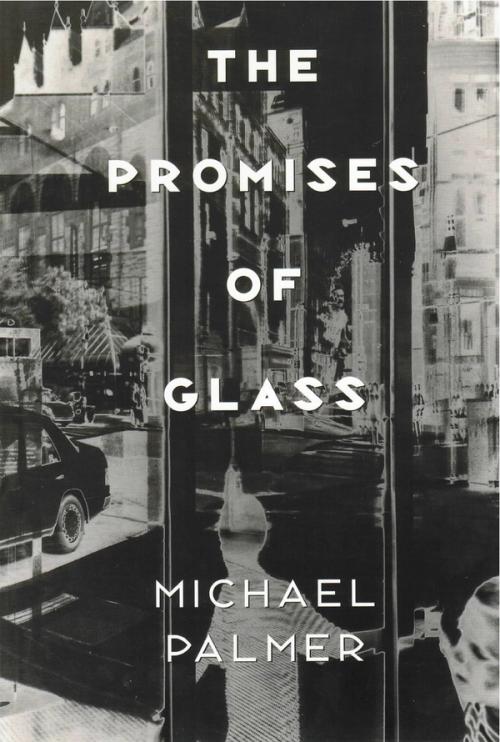 cover image of the book The Promises Of Glass