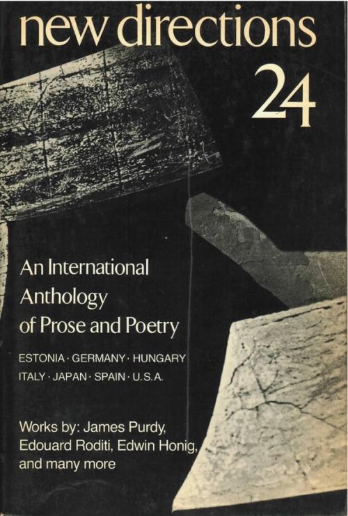 cover of the book New Directions 24