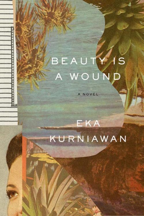cover image of the book Beauty Is a Wound