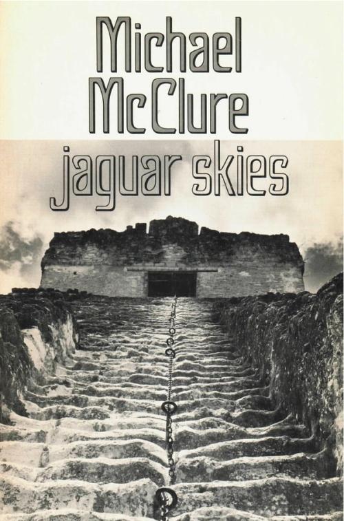 cover image of the book Jaguar Skies
