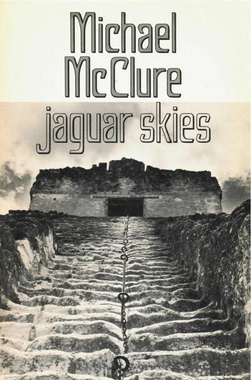 cover of the book Jaguar Skies