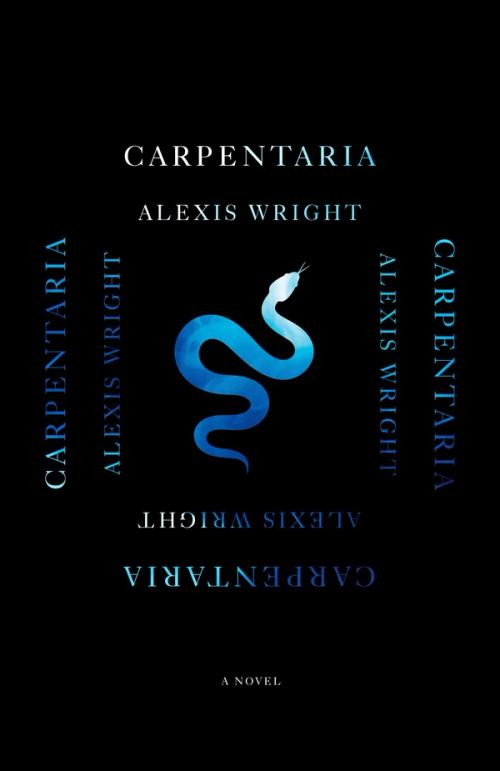 cover of the book Carpentaria