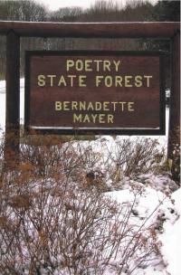 cover of the book Poetry State Forest