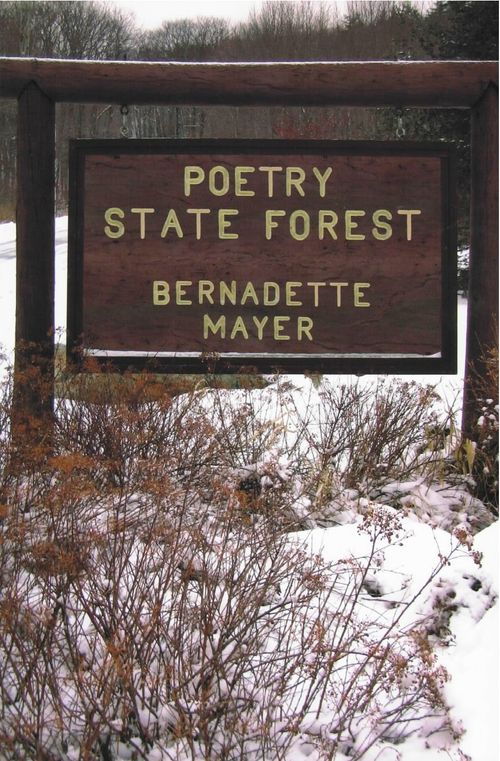 cover of the book Poetry State Forest