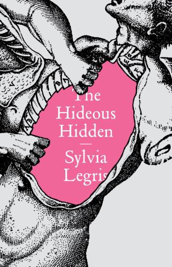 cover image of the book The Hideous Hidden 