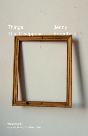 cover of the book Things That Disappear