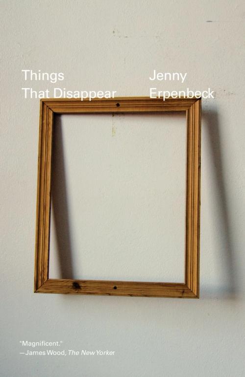 cover of the book Things That Disappear