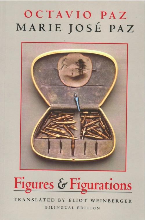 cover of the book Figures & Figurations