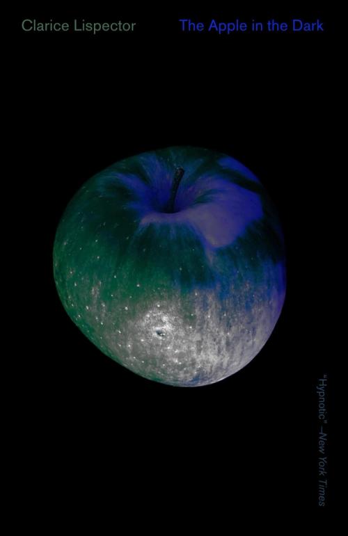 cover of the book The Apple in the Dark