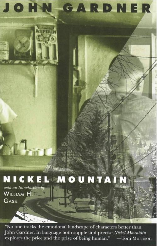cover image of the book Nickel Mountain