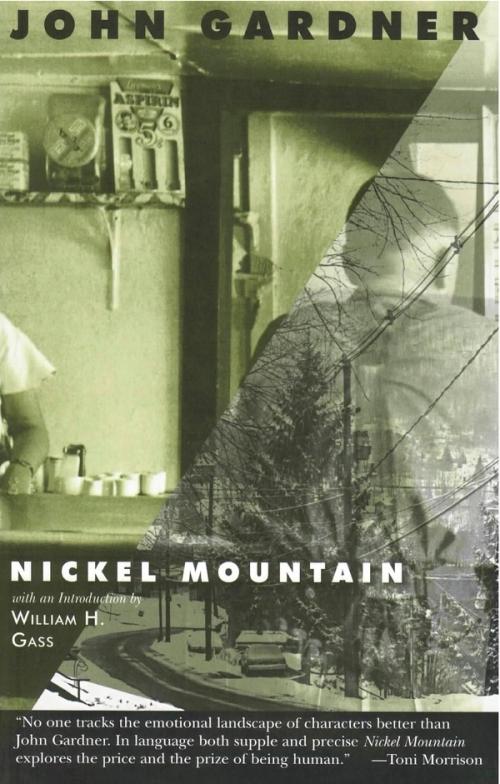 cover of the book Nickel Mountain