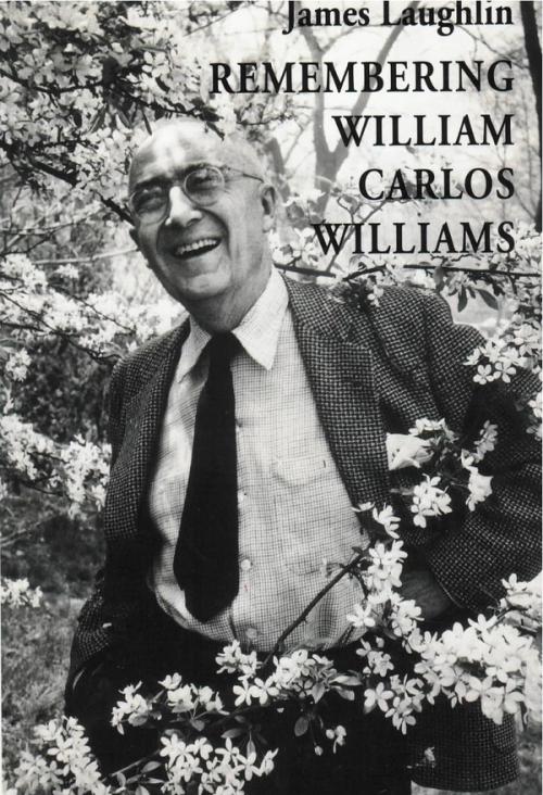 cover image of the book Remembering William Carlos Williams