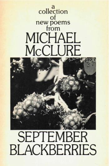cover image of the book September Blackberries