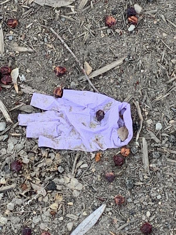 Image by New Direction