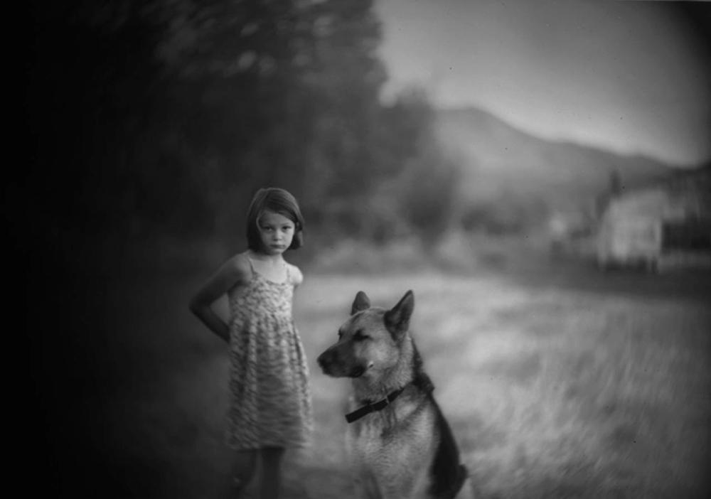 The Narrowing Gyre A Turn in the Room by Forrest Gander New