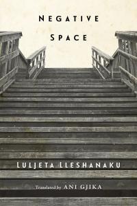 cover of the book Negative Space