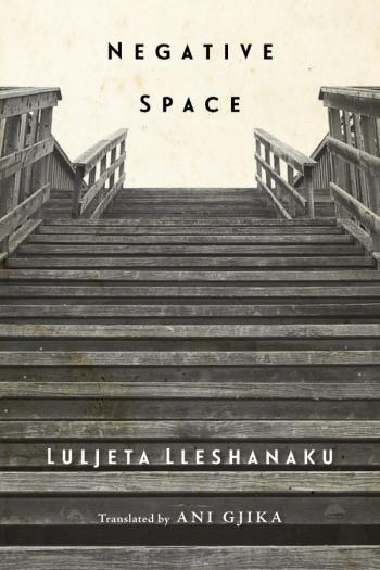 cover of the book Negative Space
