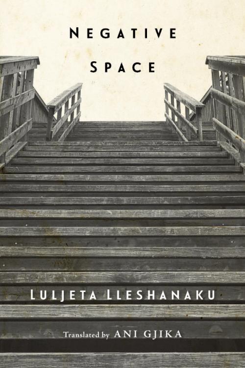 cover image of the book Negative Space