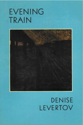 cover image of the book Evening Train