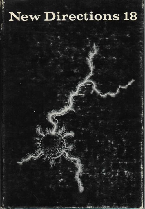 cover of the book New Directions 18
