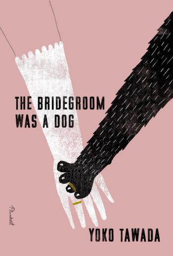 cover of the book The Bridegroom Was a Dog