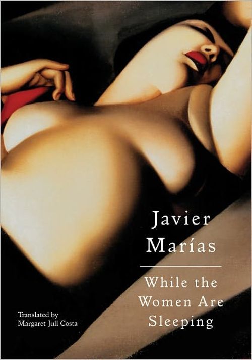 cover image of the book While the Women Are Sleeping