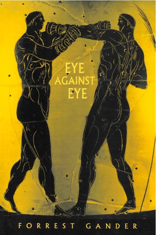 cover image of the book Eye Against Eye